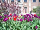 Saturday May 2, 2009 - Riis Park in the Springtime