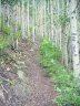 Sunday August 16, 2009 : Leadville Training - Hope Pass