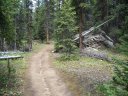 Sunday August 16, 2009 : Leadville Training - Hope Pass