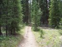 Sunday August 16, 2009 : Leadville Training - Hope Pass