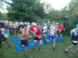 Webcast: Participant Image