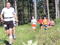 Webcast: Participant Image