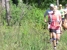 Webcast: Participant Image