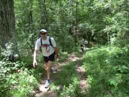 Webcast: Participant Image