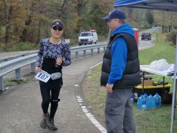 Webcast: Participant Image
