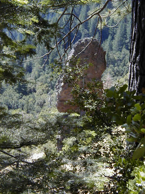 Devil's Thumb as seen from the trail