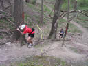 Yes... that is a pull-rope