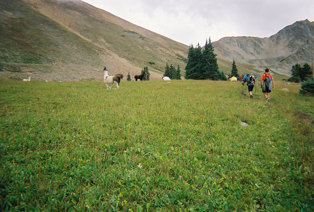 Making the Hopeless aid station near 44.5 miles