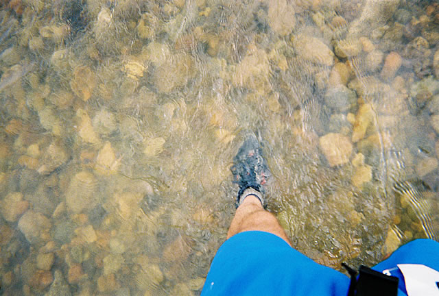 Bill tests the waters of the river crossing