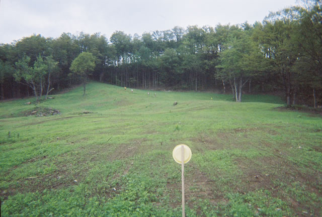 A gentle and fast off-road section of the course