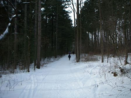 A stark winter's day in the Kettle Moraine
