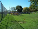 Saturday October 20, 2007