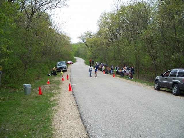 Thomas Patterson emerges from the forest and crosses Duffin Road