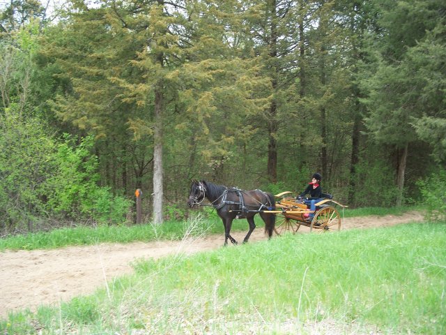 Traversing the trails near Horseman's Park aid station