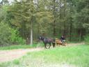 Traversing the trails near Horseman's Park aid station
