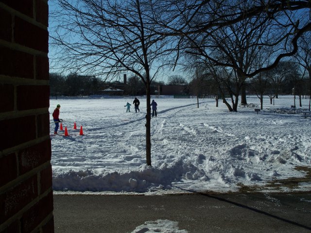 Park Ridge XC Fun Race : Park Ridge, IL : Saturday January 24, 2009