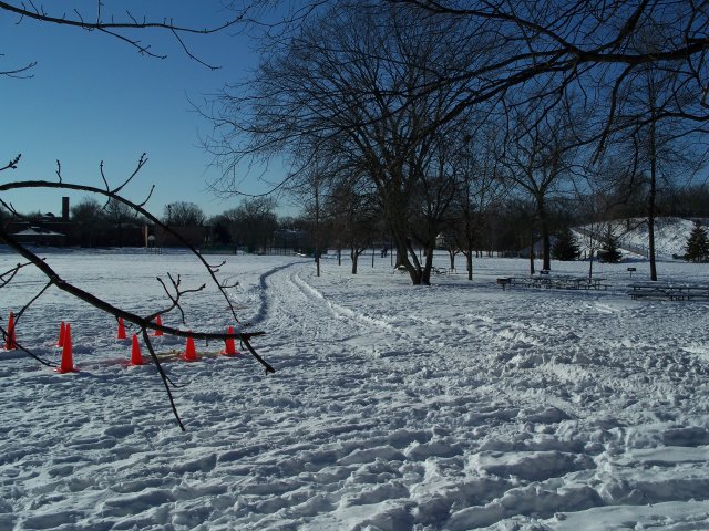Park Ridge XC Fun Race : Park Ridge, IL : Saturday January 24, 2009