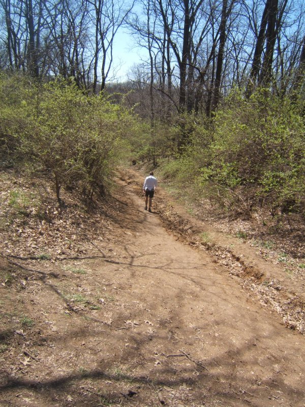 the start of lap 4