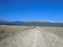 The road to Treeline.