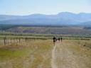 Halfmoon Road looking back at Leadville