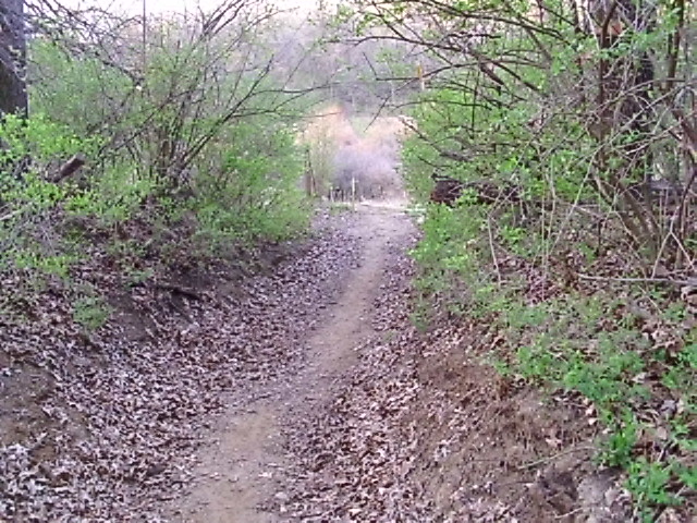ON TRAIL