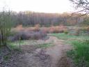 ON TRAIL