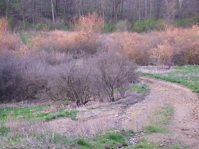 ON TRAIL