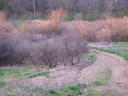 ON TRAIL