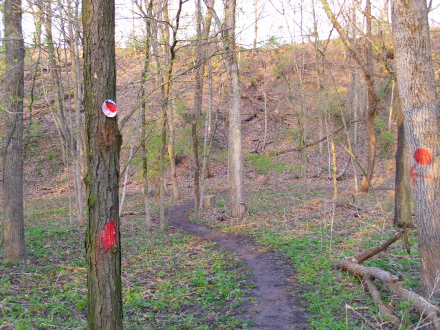 ON THE TRAIL
