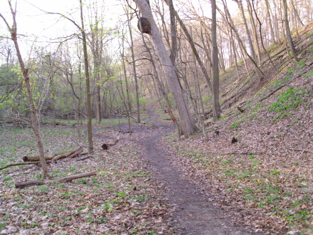 ON THE TRAIL