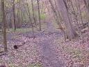 ON THE TRAIL
