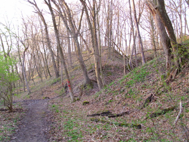 ON THE TRAIL