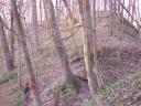 ON THE TRAIL