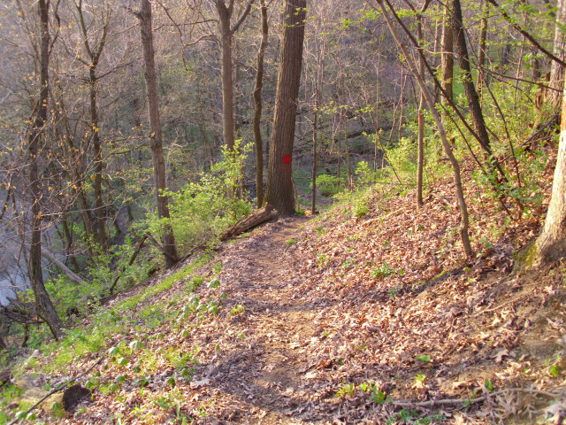 ON THE TRAIL