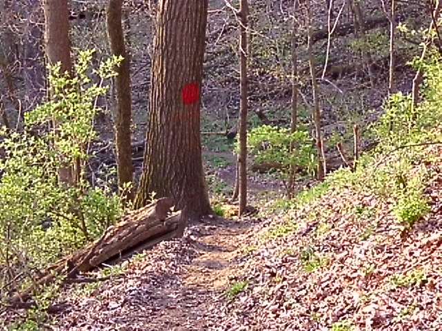 ON THE TRAIL