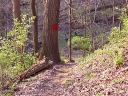 ON THE TRAIL