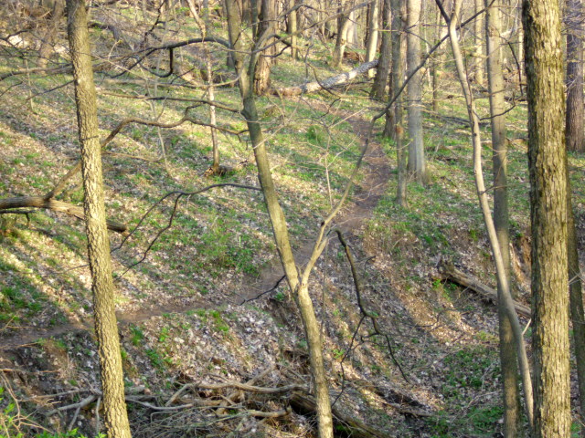 ON THE TRAIL