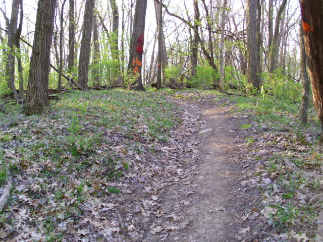 ON THE TRAIL