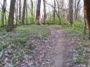 ON THE TRAIL