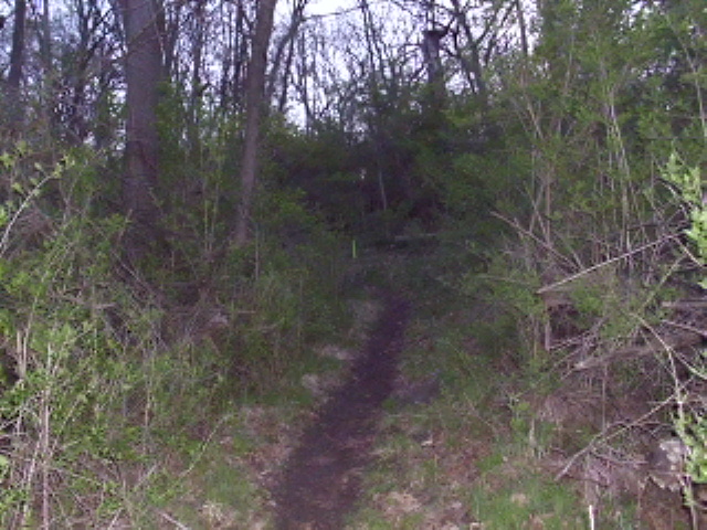 ON THE TRAIL