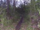 ON THE TRAIL