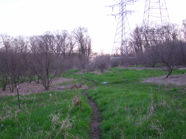 ON THE TRAIL