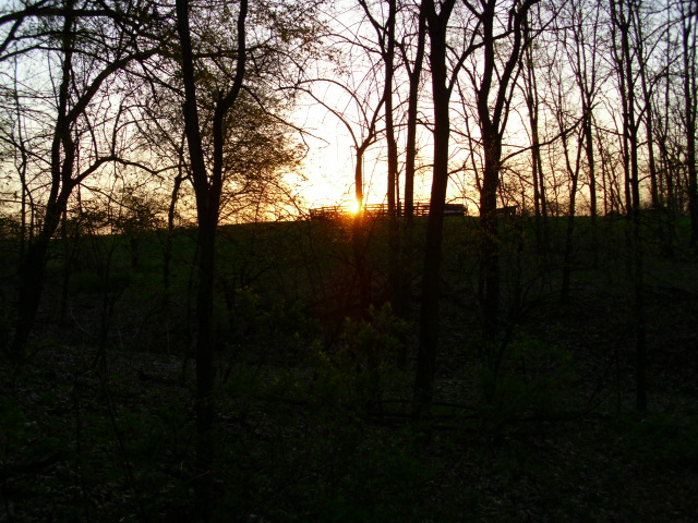 ON THE TRAIL