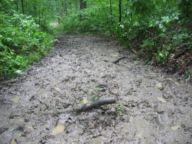 Mud