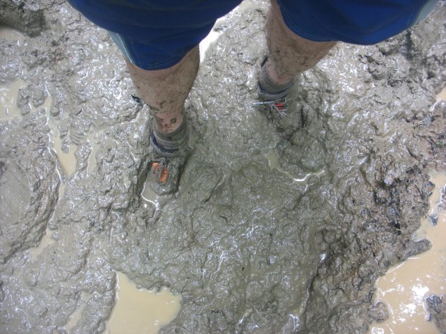 Stuck in Mud