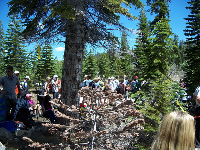 Saturday June 26th : Action at Robinson Flat - 29.7 Mile Aid Station