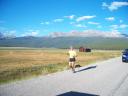 Runners on Hwy 300 east of Fish Hatchery outbound : Saturday August 21, 2010