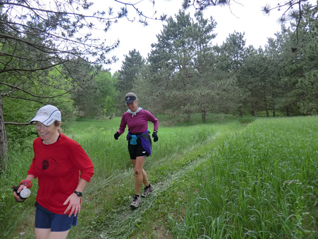 Mary's Solo Ice Age Trail 50 Mile Run : Saturday May 28, 2011