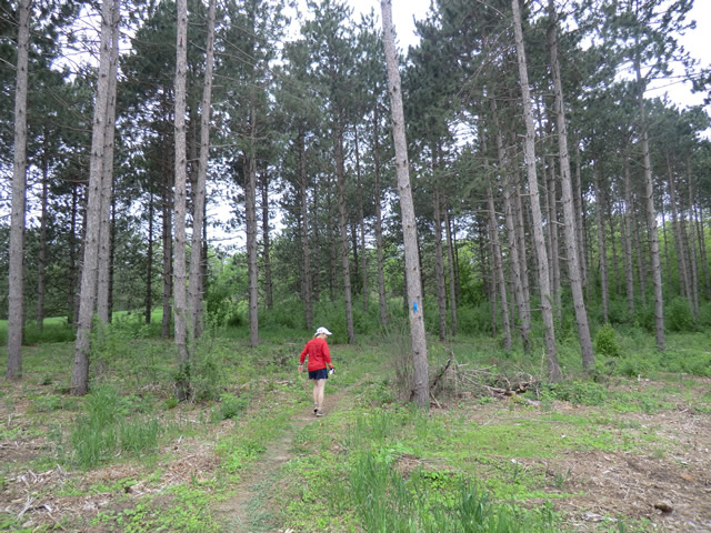 Mary's Solo Ice Age Trail 50 Mile Run : Saturday May 28, 2011