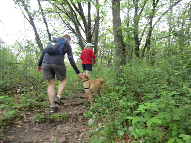 Mary's Solo Ice Age Trail 50 Mile Run : Saturday May 28, 2011